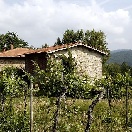 Agriturismo Castello Di Querceto Lucolena in Chianti Zewnętrze zdjęcie