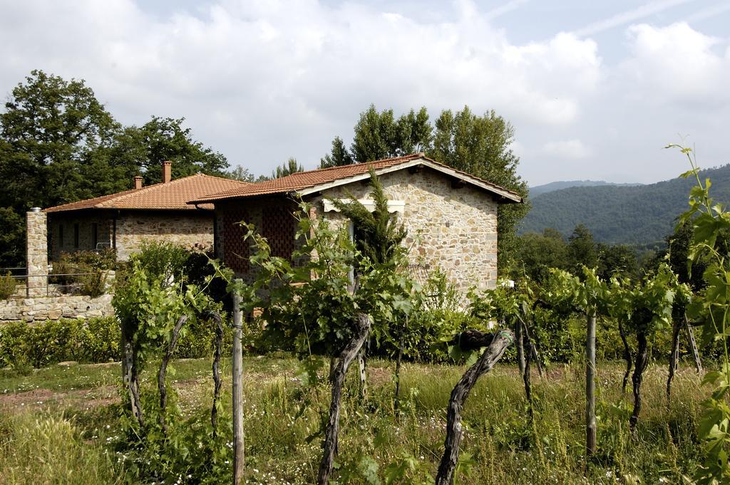Agriturismo Castello Di Querceto Lucolena in Chianti Zewnętrze zdjęcie